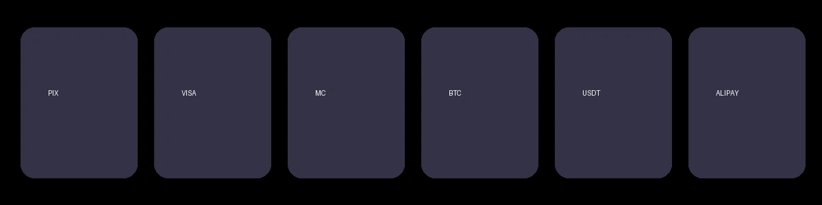 棒棒TV支持的支付方式图标展示